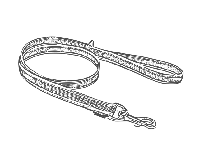 Laisses caoutchoutées