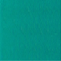 Mystique® Biothane collare semistrangolo neoprene 25mm verde chiaro 35-45cm