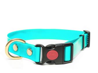 Biothane_collar_safety_click_solid_brass_gold_turquoise_small_web
