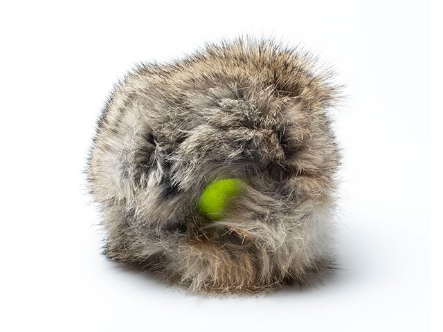 Rabbit "Cover" avec balle de tennis