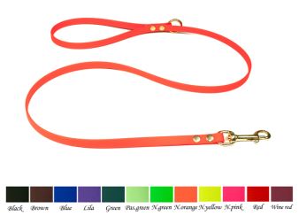 Biothane leashes solid brass