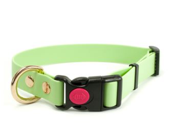 Biothane_collar_safety_click_solid_brass_pastel_green_small_web