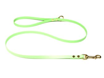Biothane_leash_with_HG_13mm_solid_brass_pastell_green_small_web