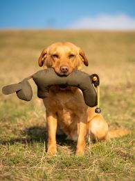 Rabbit_Dog_Dummy_produkt_foto_07_small_web (7)