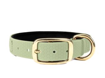 Hexa_collar_brass_deluxe_mint_neoprene_small_web (22)