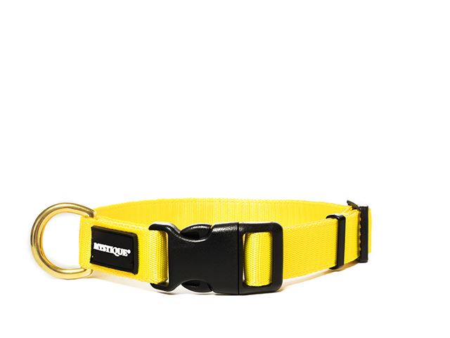 Nylon_collar_profi_25mm_solid_brass_yellow_small_web