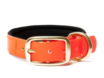 Biothane_collar_deluxe_brass_neopren_gold_orange_small_web (47)