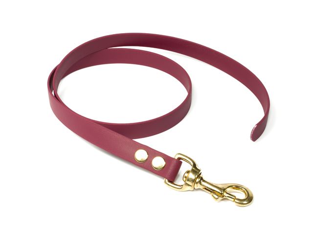 Biothane_leash_19mm_solid_brass_winered_small_web
