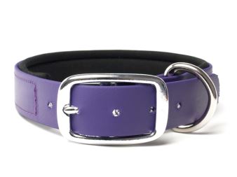 Biothane_collar_deluxe_neopren_lila_small_web (37)