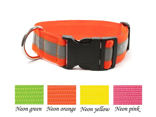 Mystique® Réfléchissant collier click boucle 40mm (1)
