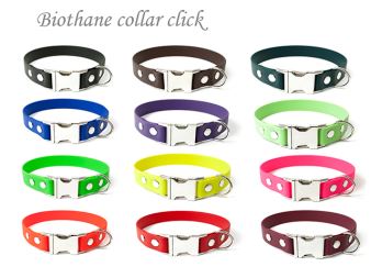 Biothane collars click
