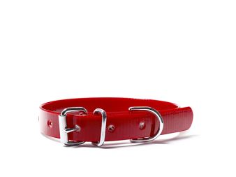 Biothane_collar_16mm_classic_gold_red_small_web