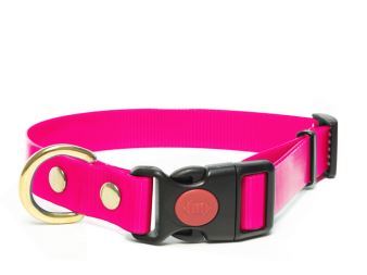 Biothane_collar_safety_click_solid_brass_gold_pink_small_web