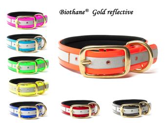 Biothane_gold_reflective_collars_brass_deluxe_neopren_all_colours_small_web (65)