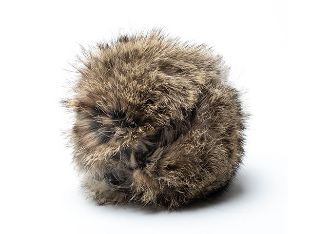 Rabbit "Cover" pour balle de tennis