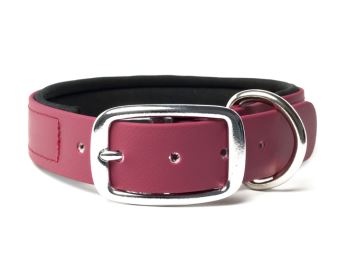 Biothane_collar_deluxe_neopren_winered_small_web (82)