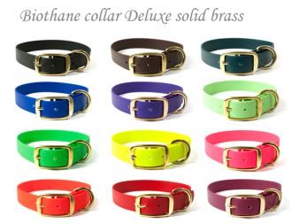 Biothane collars deluxe solid brass