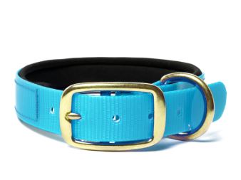 Biothane_collar_deluxe_brass_neopren_gold_turquoise_small_web (81)