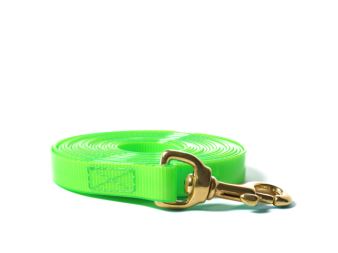 Biothane_tracking_leash_sewn_16-19mm_brass_snap_hook_gold_light_green_small_web (21)