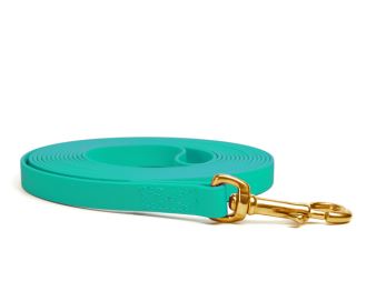 Biothane_tracking_leash_sewn_light_green_brass_snap_hook_small_web (15)