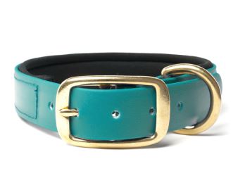 Biothane_collar_deluxe_brass_neopren_light_green_small_web (24)
