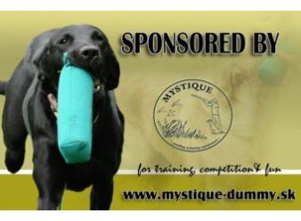 German Cup 2011 als Hauptsponsor