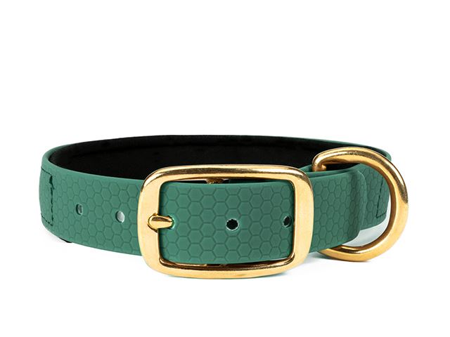 Hexa_collar_brass_deluxe_green_neoprene_small_web