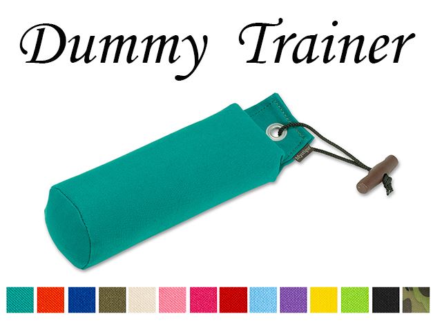 Neue Farben von Dummy Trainer