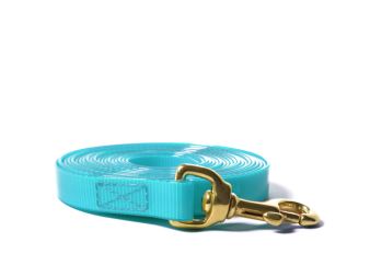 Biothane_tracking_leash_sewn_16-19mm_brass_snap_hook_gold_turquoise_small_web