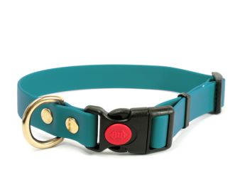 Biothane_collar_safety_click_solid_brass_light_green_small_web