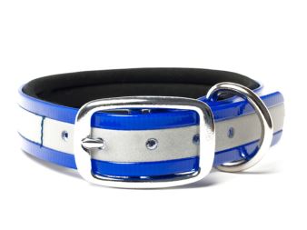 Biothane_collar_deluxe_neopren_gold_reflective_blue_small_web (66)
