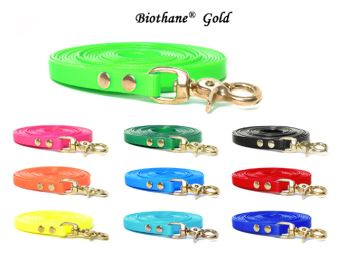 Biothane_tracking_leash_riveted_13mm_brass_trigger_hook_all_colours_small_web (24)