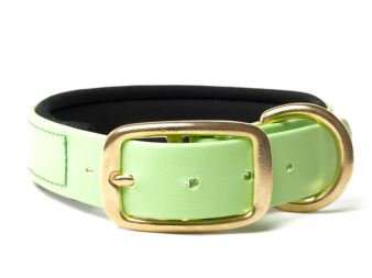 Biothane_collar_deluxe_brass_neopren_pastel_green_small_web (51)