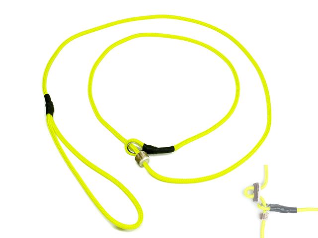 Mystique® Field trial moxon laisse 4mm