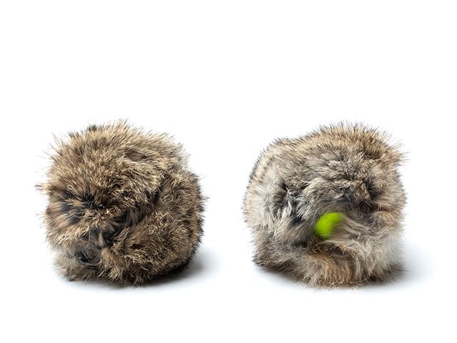 Mystique® "Rabbit cover" palla da tennis