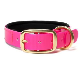 Biothane_collar_deluxe_brass_neopren_gold_pink_small_web (57)