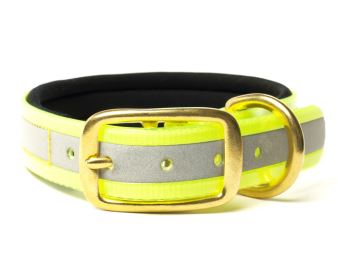 Biothane_collar_deluxe_brass_neopren_gold_reflective_yellow_small_web (79)