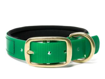 Biothane_collar_deluxe_brass_neopren_gold_green_small_web (26)