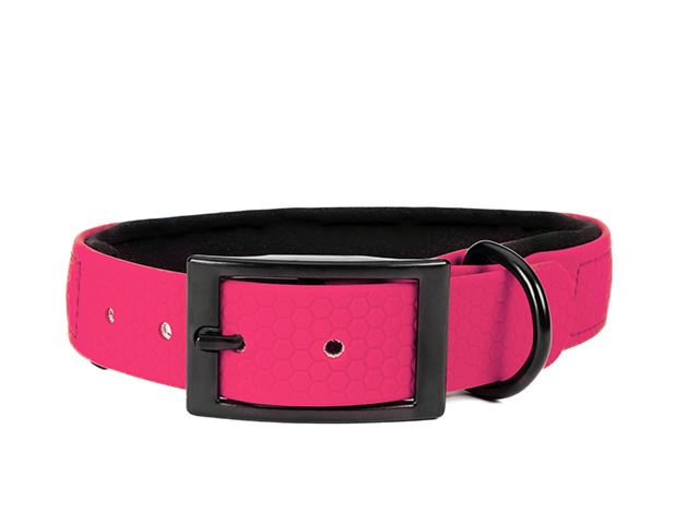 Hexa_collar_black_deluxe_neon pink_neoprene_small_web