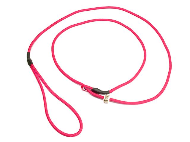 Mystique® Field trial moxon laisse 4mm