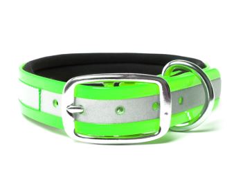 Biothane_collar_deluxe_neopren_gold_reflective_green_small_web (68)