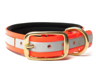 Biothane_collar_deluxe_brass_neopren_gold_reflective_orange_small_web (71)