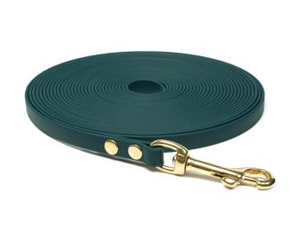 Biothane_tracking_leash_13mm_solid_brass_green_small_web