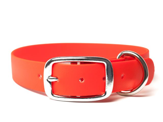 Biothane_collar_deluxe_neon_orange_small_web