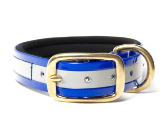 Biothane_collar_deluxe_brass_neopren_gold_reflective_blue_small_web (67)