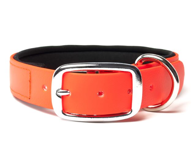 Biothane_collar_deluxe_neopren_neon_orange_small_web