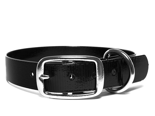 Biothane_collar_deluxe_black_gold_small_web