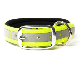 Biothane_collar_deluxe_neopren_gold_reflective_yellow_small_web (78)