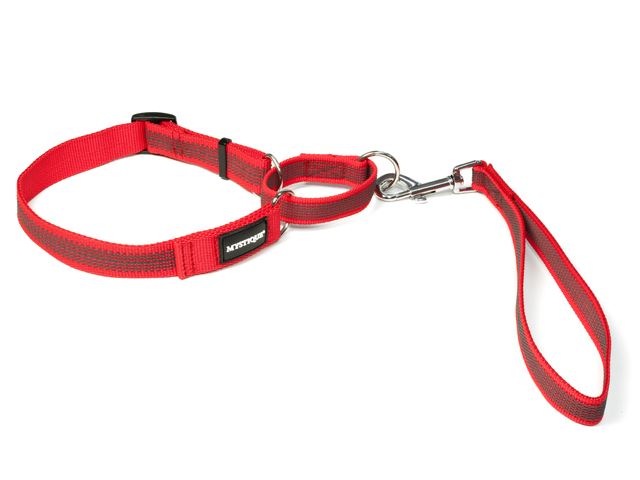 Rubbered_agility_leash_red_small_web