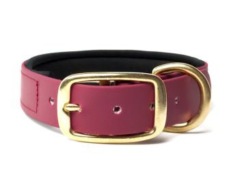 Biothane_collar_deluxe_brass_neopren_winered_small_web (83)
